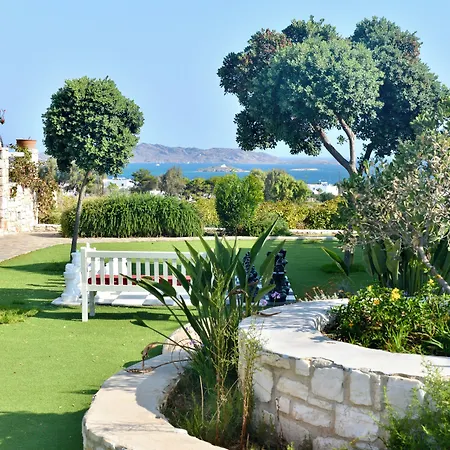 Blue Mare 나오우사